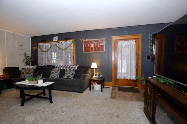 living room featuring light carpet