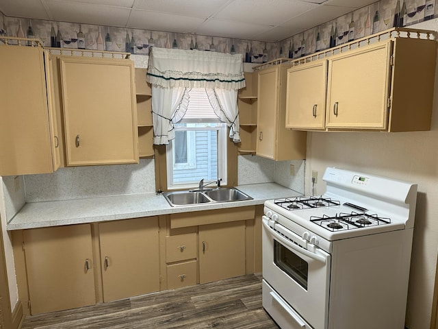 kitchen featuring a paneled ceiling, dark hardwood / wood-style flooring, white stove, and sink