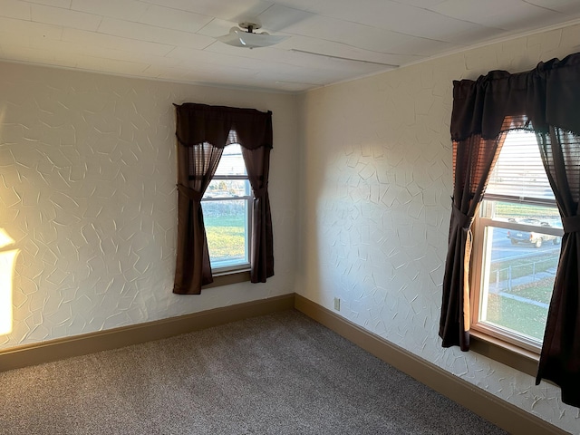 carpeted empty room with a healthy amount of sunlight