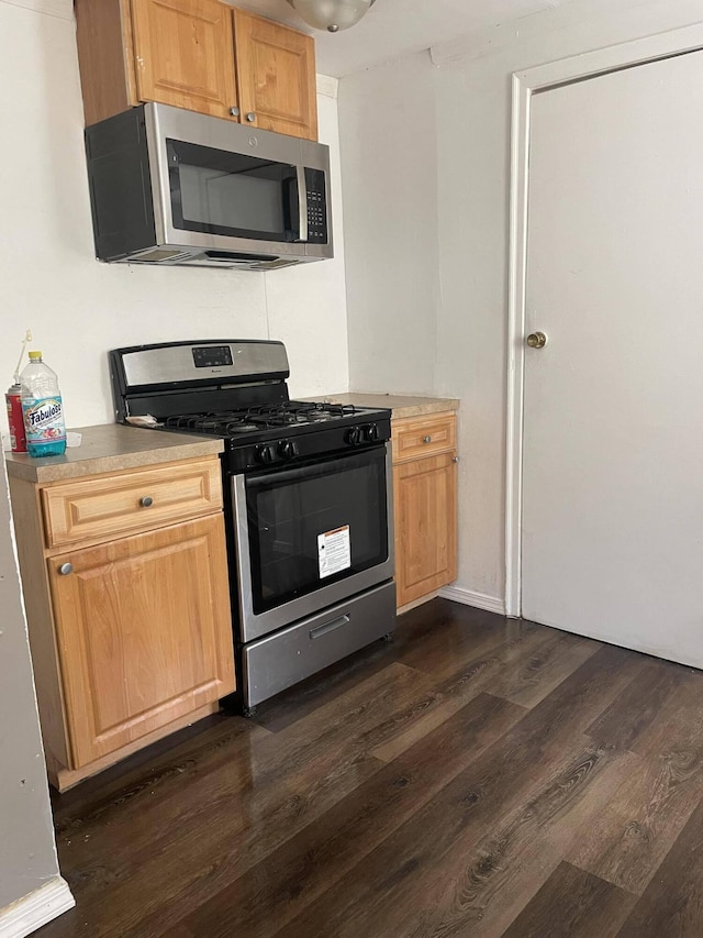 kitchen featuring dark hardwood / wood-style floors and stainless steel appliances