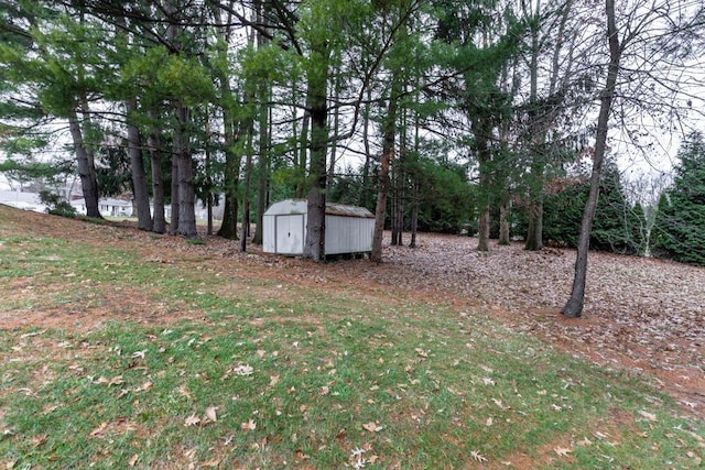 view of yard with a storage shed