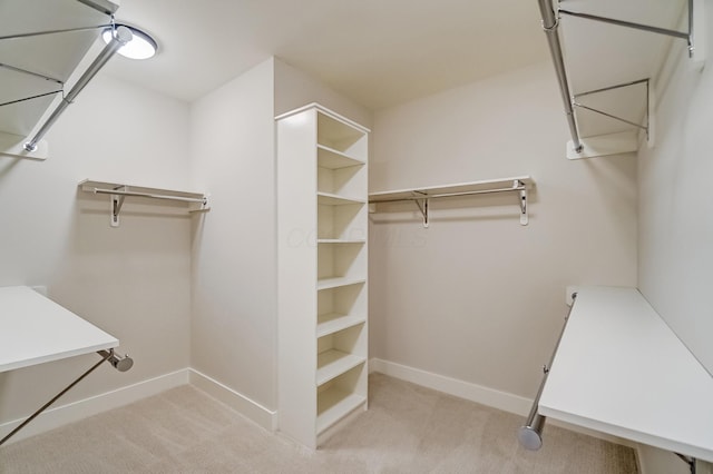 spacious closet with carpet floors