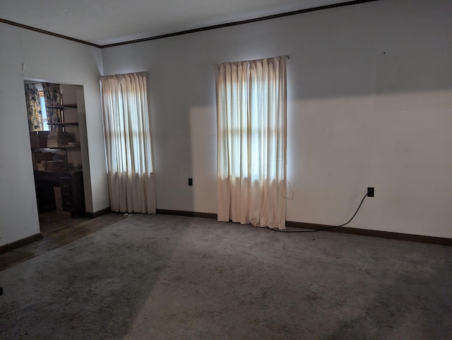 carpeted spare room featuring plenty of natural light and ornamental molding