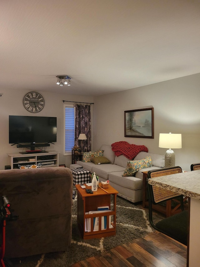 living room with dark hardwood / wood-style floors