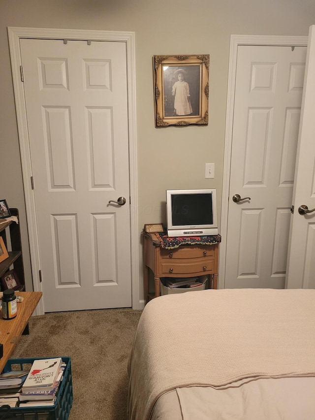 bedroom featuring carpet