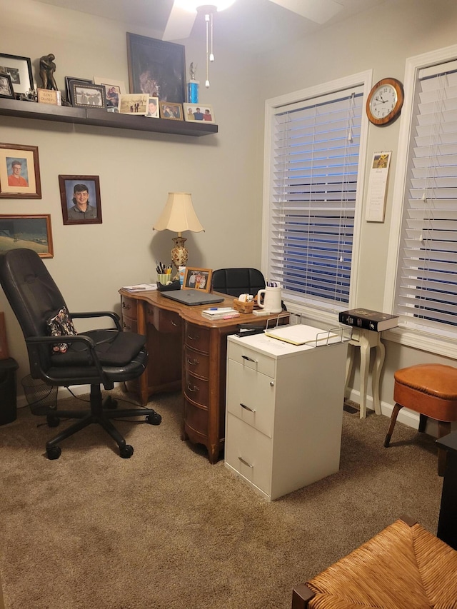 office featuring carpet floors