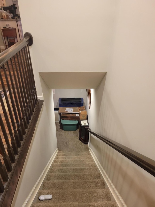 stairway with carpet flooring