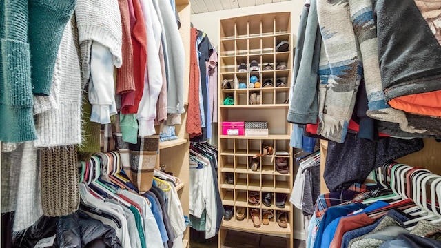 view of spacious closet