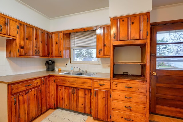 kitchen with tasteful backsplash, ornamental molding, and sink