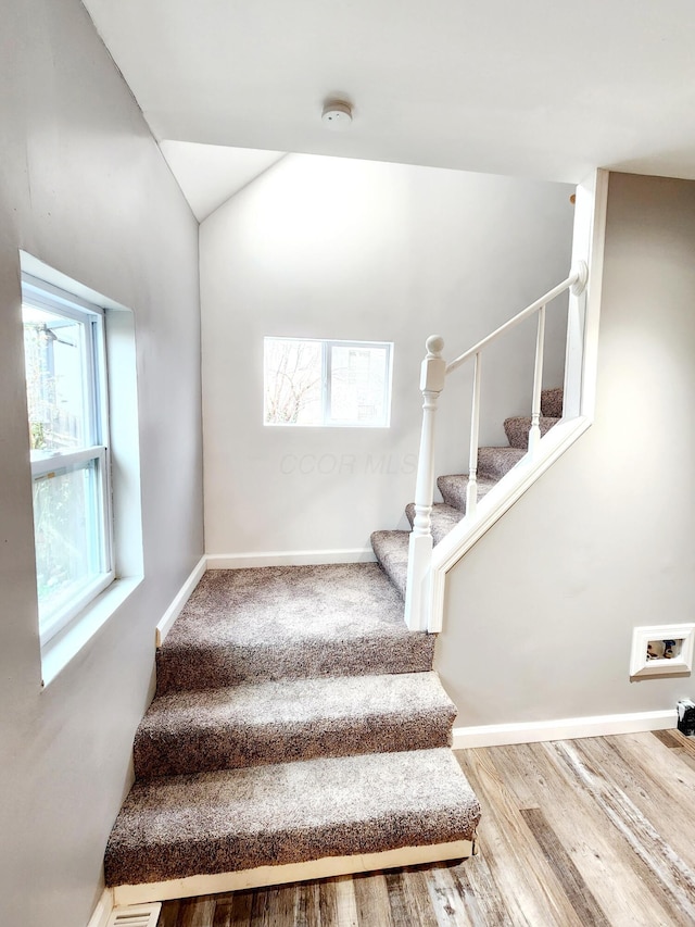 staircase featuring plenty of natural light and hardwood / wood-style floors