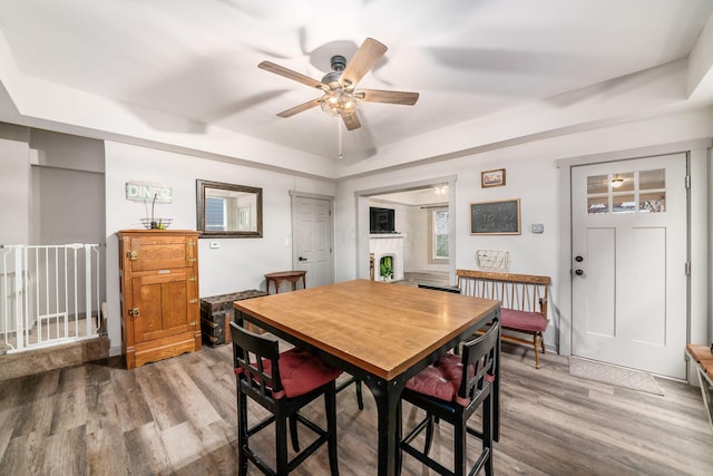 dining area featuring ceiling fan, a raised ceiling, and wood-type flooring