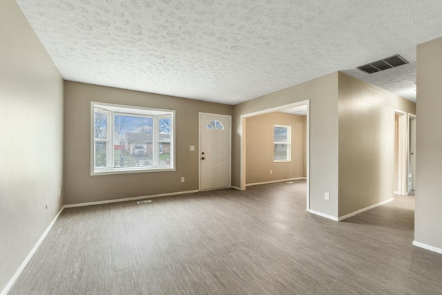 interior space featuring hardwood / wood-style floors, a textured ceiling, and a wealth of natural light