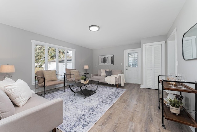 living room featuring hardwood / wood-style floors