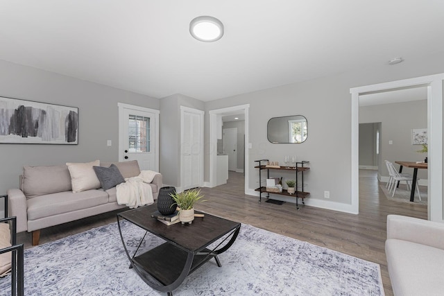 living room with wood-type flooring