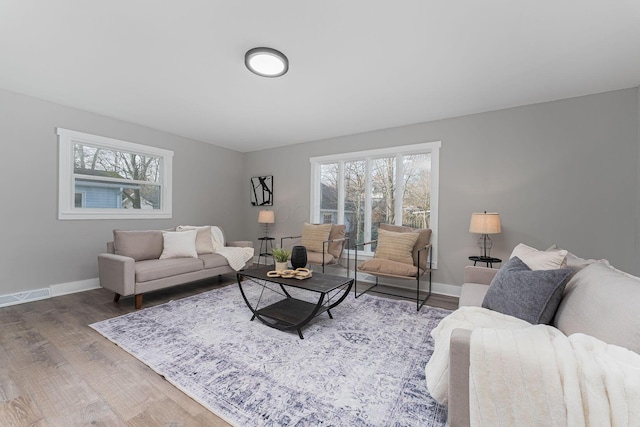 living room featuring hardwood / wood-style flooring and a healthy amount of sunlight