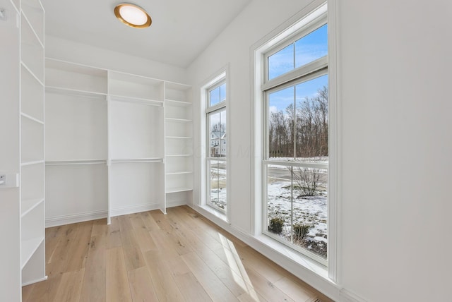 spacious closet with light hardwood / wood-style flooring