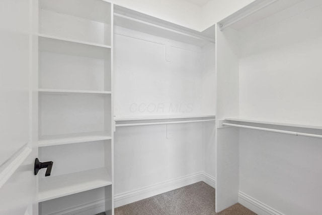 spacious closet with carpet floors