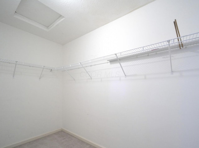 spacious closet featuring attic access and light colored carpet