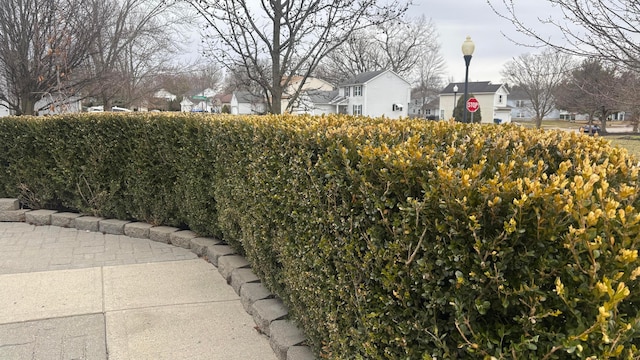 view of yard with a residential view