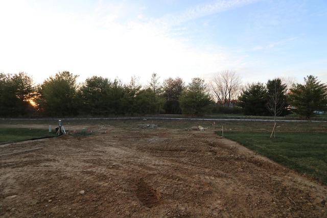 view of yard featuring a rural view