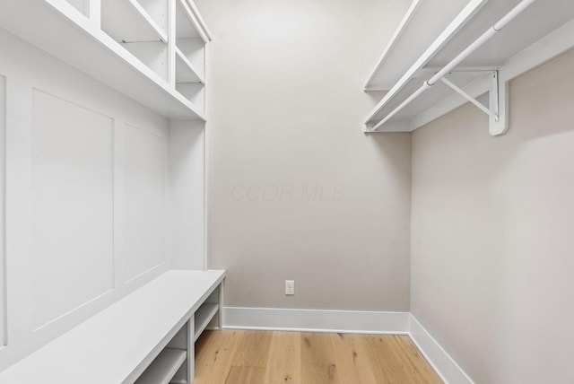 spacious closet with light wood-type flooring