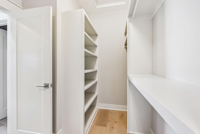 spacious closet featuring light wood-type flooring