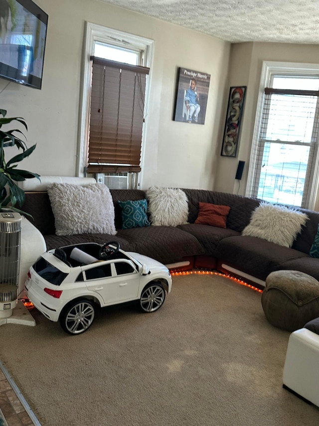 living room featuring a wealth of natural light, a textured ceiling, and carpet