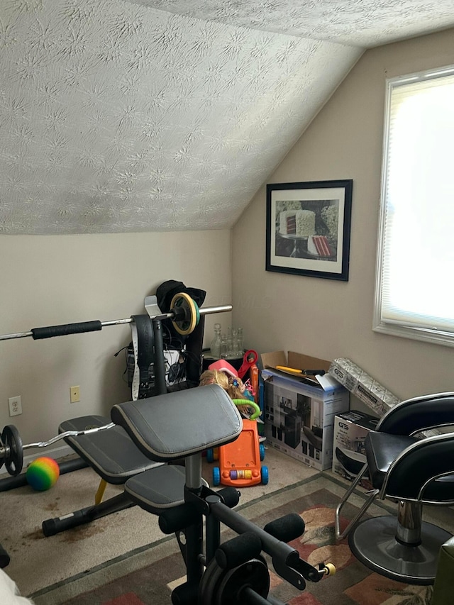 exercise area with a healthy amount of sunlight, lofted ceiling, carpet floors, and a textured ceiling