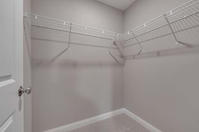 spacious closet with carpet flooring