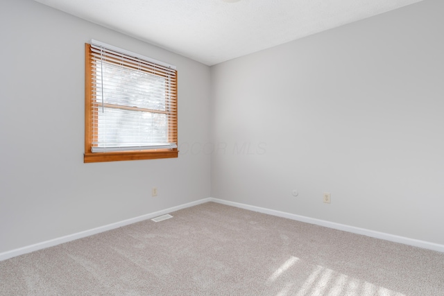 spare room featuring carpet floors