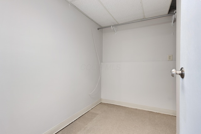 walk in closet featuring a drop ceiling and light carpet