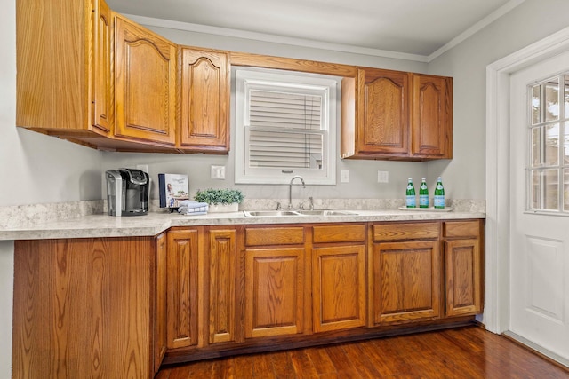 kitchen featuring crown molding, dark hardwood / wood-style flooring, and sink