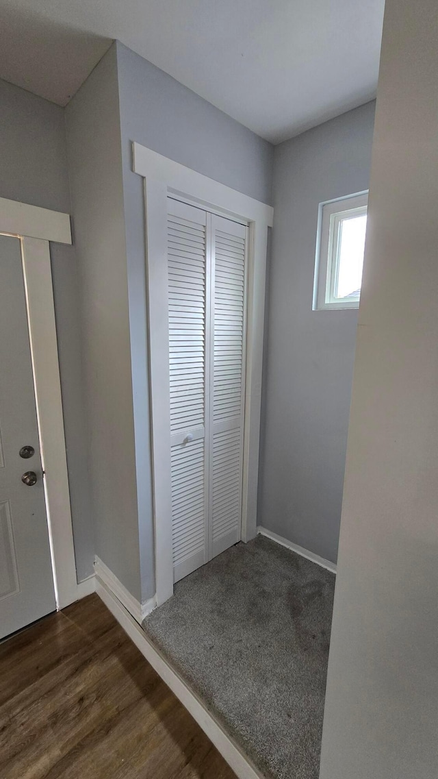 interior space featuring dark hardwood / wood-style flooring and a closet