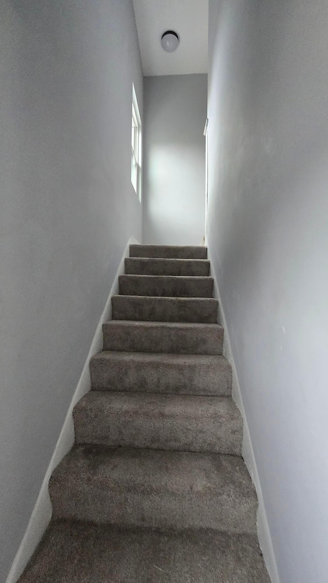 stairs featuring carpet floors