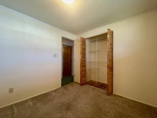 unfurnished bedroom with carpet flooring and a closet