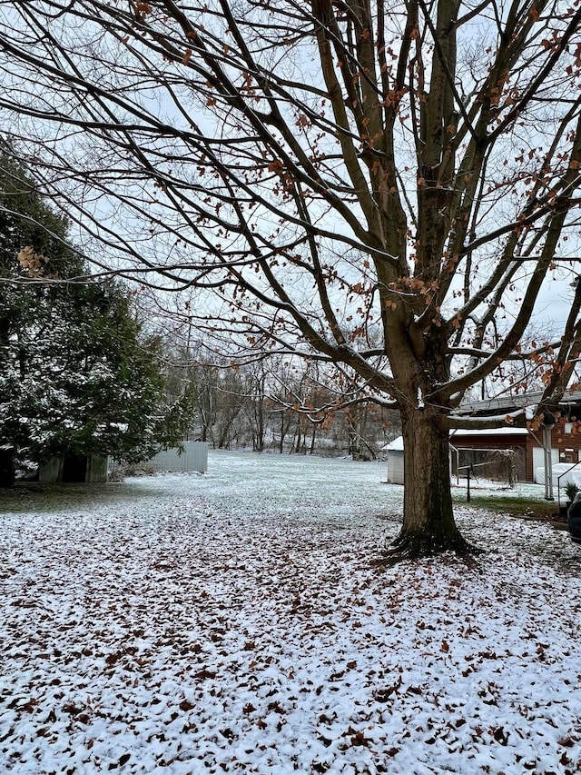 view of yard layered in snow