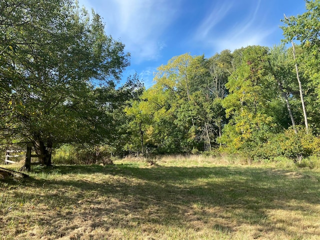 view of local wilderness