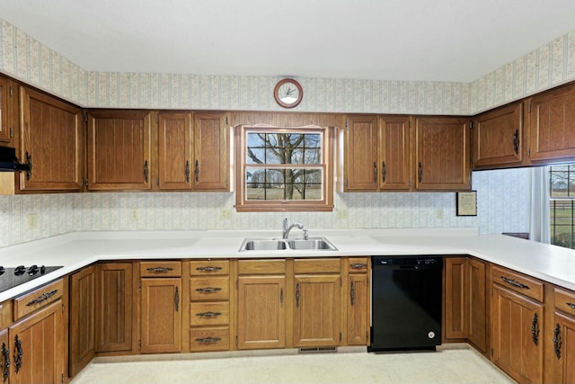 kitchen with black appliances, ventilation hood, and sink