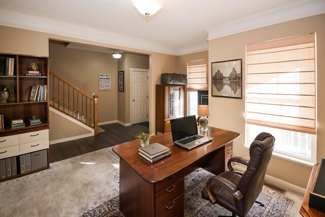 office area with ornamental molding, dark wood-type flooring, and baseboards