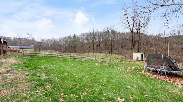 view of yard with a trampoline and a storage shed