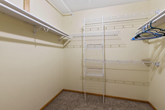 spacious closet featuring carpet flooring