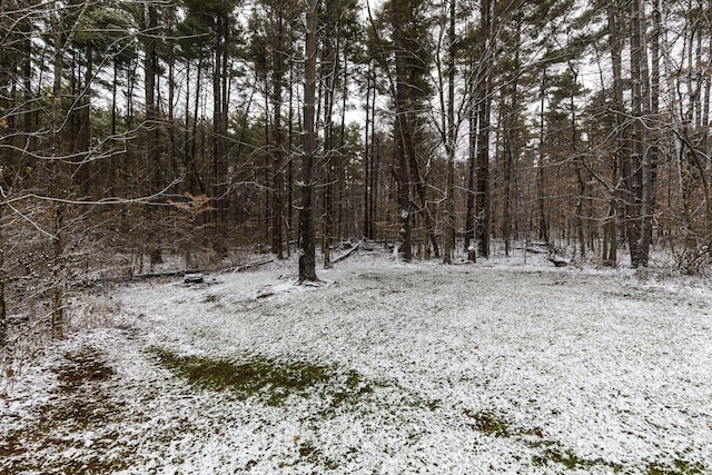 view of snowy landscape