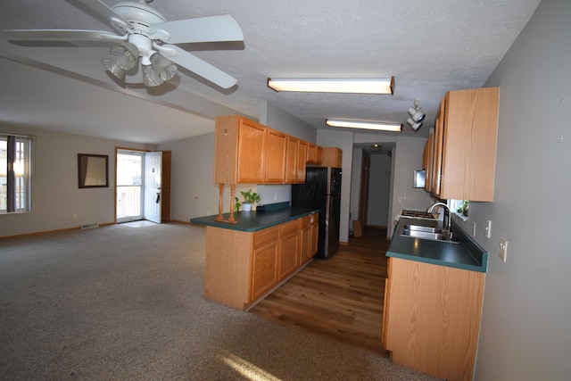 kitchen featuring ceiling fan, dark colored carpet, black fridge, a textured ceiling, and sink