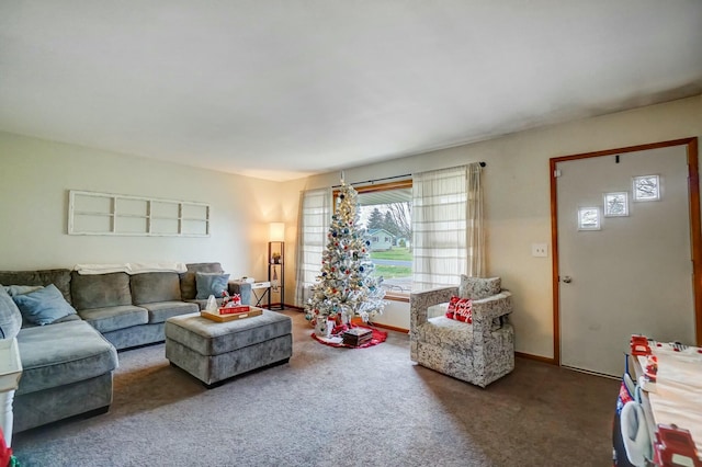 living room featuring carpet flooring