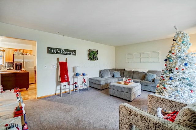 living room with carpet floors