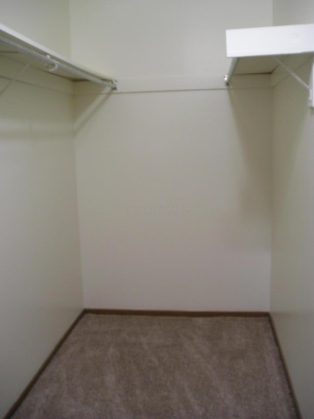 walk in closet with carpet