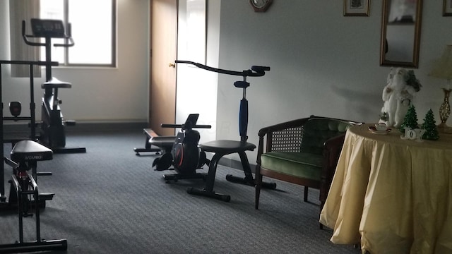 workout room featuring carpet floors