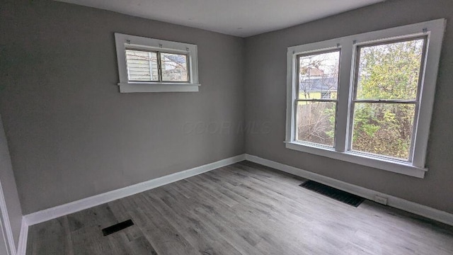 empty room featuring wood-type flooring and plenty of natural light