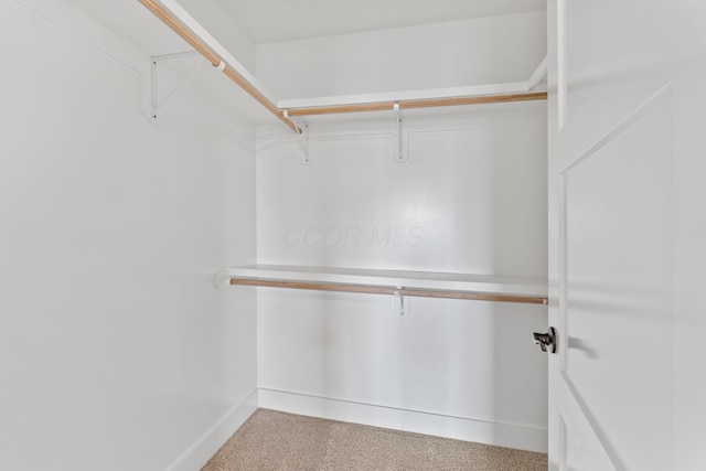 spacious closet featuring carpet floors