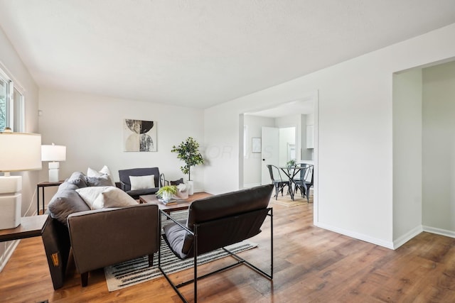 living room featuring hardwood / wood-style floors